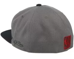 Houston Rockets Born And Bred Fitted Grey/Black Fitted - Mitchell & Ness -Fashion Hat Online 195563584972 3