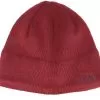 Bones Recycled Cordovan Beanie - The North Face