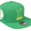 Minnesota North Stars Vintage Green Fitted - Mitchell & Ness