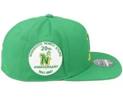 Minnesota North Stars Vintage Green Fitted - Mitchell & Ness -Fashion Hat Online 196294848463 4