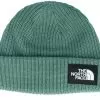 Salty Dog Dark Sage Short Beanie - The North Face