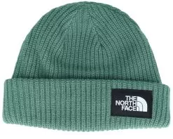 Salty Dog Dark Sage Short Beanie - The North Face
