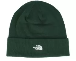 Norm Beanie Pine Needle Cuff - The North Face