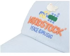 Woodstock Ballpark Ruisseau Dad Cap - American Needle -Fashion Hat Online 798698831609 6