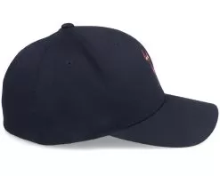 Pink Sphynx Black Flexfit - Iconic -Fashion Hat Online OB1003700 2 3