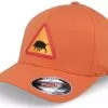 Wild Boar Patch Patch Orange Flexfit - Hunter