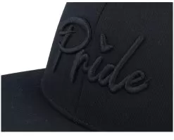 3d Black Pride Logo Black Flat Brim Fitted - Fair -Fashion Hat Online OB3001744 1 6